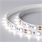 Лента RT 2-5000 12V White6000 2x (5060, 300 LED, LUX) (Arlight, 14.4 Вт/м, IP20) 012339(B) - фото 121637