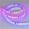 Лента герметичная SPI-SE-B60-10mm 24V RGB-PX6-BPT (12 W/m, IP65, 5060, 5m) (Arlight, бегущий огонь) 039601 - фото 123098