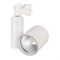 Светильник LGD-SHOP-4TR-R100-40W Day4000 (WH, 24 deg, 230V, DALI) (Arlight, IP20 Металл, 5 лет) 036106 - фото 123590