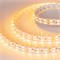 Лента RT 2-5000 24V Yellow 2x2 (5060, 600 LED, LUX) (Arlight, 28.8 Вт/м, IP20) 011263 - фото 123784