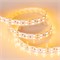 Лента RT 2-5000 24V Yellow 2x2 (5060, 600 LED, LUX) (Arlight, 28.8 Вт/м, IP20) 011263 - фото 123786