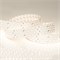Лента RT 2-2500 24V Warm3000 4x2 (2835, 700 LED, LUX) (Arlight, 30 Вт/м, IP20) 020391(1) - фото 123861