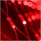Светодиодная гирлянда ARD-NETLIGHT-CLASSIC-2000x1500-CLEAR-288LED Red (230V, 18W) (Ardecoled, IP65) 024679 - фото 124041