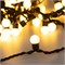 Светодиодная гирлянда ARD-BALL-CLASSIC-D17.5-10000-BLACK-100LED WARM (230V, 7W) (Ardecoled, IP65) 025584 - фото 125392