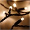 Светодиодная гирлянда ARD-STRING-PRO-10000-BLACK-100LED-STD WARM (230V, 7W) (Ardecoled, IP65) 025824 - фото 127097