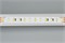 Лента RT 6-5000 24V White-MIX 2x (2835, 120 LED/m, LUX) (Arlight, 23 Вт/м, IP20) 025209 - фото 127504
