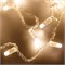 Светодиодная гирлянда ARD-STRING-CLASSIC-10000-CLEAR-100LED-STD WARM (230V, 7W) (Ardecoled, IP65) 025779 - фото 127795