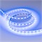 Лента RT-B60-10mm 12V Blue (14.4 W/m, IP20, 5m) (Arlight, Открытый) 012336(3) - фото 128439