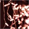Светодиодная гирлянда ARD-EDGE-CLASSIC-2400x600-CLEAR-88LED-STD Rose Gold (230V, 6W) (Ardecoled, IP65) 031188 - фото 130635