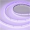 Лента RT-AM360-12mm 24V RGBW-MIX (24 W/m, IP20, 2835/2210, 5m) (Arlight, -) 044036 - фото 132178