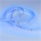 Лента RT 2-5000 24V Blue 2x2 (3528, 1200 LED, LUX) (Arlight, 19.2 Вт/м, IP20) 008769 - фото 132228