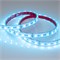 Лента RTW 2-5000PS 12V RGB 2x (5060, 300 LED, LUX) (Arlight, 14.4 Вт/м, IP67) 021402 - фото 132422