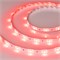 Лента герметичная RTW-SE-B30-10mm 24V RGB (7.2 W/m, IP65, 5060, 5m) (Arlight, 7.2 Вт/м, IP65) 021732(2) - фото 132579
