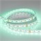 Лента RT 2-5000 24V RGBW-MIX 12mm (5060-One, 60 LED/m, LUX) (Arlight, 20 Вт/м, IP20) 026363 - фото 132600