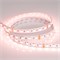 Лента RT 2-5000 24V RGBW-MIX 12mm (5060-One, 60 LED/m, LUX) (Arlight, 20 Вт/м, IP20) 026363 - фото 132601