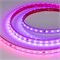 Лента герметичная SPI-PFS-B60-12mm 24V RGB-PX6-BPT (12 W/m, IP68, 5060, 5m) (Arlight, бегущий огонь) 039602 - фото 132998