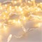 Светодиодная гирлянда ARD-STRING-CLASSIC-10000-CLEAR-100LED-FLASH Warm/Warm (230V, 7W) (Ardecoled, IP65) 025814 - фото 133507