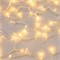 Светодиодная гирлянда ARD-STRING-CLASSIC-10000-CLEAR-100LED-FLASH Warm/Warm (230V, 7W) (Ardecoled, IP65) 025814 - фото 133508