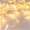 Светодиодная гирлянда ARD-STRING-CLASSIC-10000-CLEAR-100LED-FLASH Warm/Warm (230V, 7W) (Ardecoled, IP65) 025814 - фото 133509