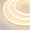 Образец Гибкий неон GALAXY-1608-5000CFS-2835-100 12V Warm 0.5M (16x8mm, 12W, IP67) (Arlight, 12 Вт/м, IP67) 030980 - фото 135426