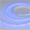 Лента RT-A120-8mm 24V Blue (9.6 W/m, IP20, 2835, 5m) (Arlight, 9.6 Вт/м, IP20) 008783(3) - фото 135687