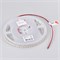 Лента MICROLED-M420-8mm 24V White6000 (9.6 W/m, IP20, 2216, 5m) (Arlight, -) 046742 - фото 135992