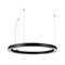 Светильник SP-CIRCLE-HANG-O3535-D600-35W Day4000 (RAL9005, 120 deg, 230V) IP40 LED (Arlight, Алюминий) 049361 - фото 136154