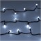 Светодиодная гирлянда ARD-BALL-CLASSIC-D13-10000-BLACK-100LED WHITE (230V, 7W) (Ardecoled, IP65) 025571 - фото 136435