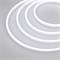 Образец Гибкий неон GALAXY-1206-5000CFS-2835-100 12V White 0.5M (12x6mm, 12W, IP67) (Arlight, 12 Вт/м, IP67) 030967 - фото 137705
