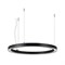 Светильник SP-CIRCLE-HANG-O3535-D600-35W Warm3000 (RAL9005, 120 deg, 230V) IP40 LED (Arlight, Алюминий) 049362 - фото 138025