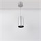 Светильник подвесной SP-POLO-R85-2-15W Day White 40deg (Silver, Black Ring) (Arlight, IP20 Металл, 3 года) 022966 - фото 140615
