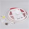 Лента герметичная RTW-PSW-A308-12mm 24V Warm3500 (14 W/m, IP67, 2835, 5m) (Arlight, 5 лет) 045294 - фото 141008
