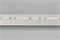Лента MICROLED-5000 24V White-CDW 4.5mm (2216, 240 LED/m, Bipolar) (Arlight, 9.6 Вт/м, IP20) 024506 - фото 141272