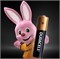 Батарейки Duracell Turbo Max LR03 ААА мизинчиковые BL2 (блистер 2шт) 81546774 - фото 145392