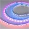 Лента SPI-RZ-B60-8mm 12V RGB-PX1-BPT (9 W/m, IP20, 5060, 5m) (Arlight, -) 047382 - фото 169256
