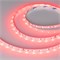 Лента RZ-A60-8mm 24V RGB (8 W/m, IP20, 2835, 5m) (Arlight, -) 042909 - фото 169267