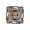 Механизм розетки с USB зарядкой SCT-MUAC-PL-GD-V (250V, 16A) (Arlight, -) 049832 - фото 170869