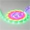 Лента SPI-5000P-RAM 12V RGB (5060, 150 LED x1) (Arlight, Закрытый, IP66) 026441 - фото 170976