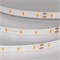 Лента RT-A60-8mm 24V Carrot (4.8 W/m, IP20, 5m) (Arlight, -) 055375 - фото 176259