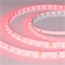 Лента RT-A60-8mm 24V Ruby (4.8 W/m, IP20, 5m) (Arlight, -) 055374-1 - фото 176276