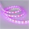 Лента RTW 2-5000SE 12V RGB 2x (5060, 300 LED, LUX) (Arlight, 14.4 Вт/м, IP65) 014618-1 - фото 176363