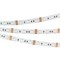 Лента RTW 2-5000SE 12V RGB 2x (5060, 300 LED, LUX) (Arlight, 14.4 Вт/м, IP65) 014618-1 - фото 176368