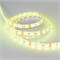 Лента RTW 2-5000SE 12V RGB 2x (5060, 300 LED, LUX) (Arlight, 14.4 Вт/м, IP65) 014618-1 - фото 176369