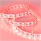 Лента RT 2-5000 24V Red 2x2 (5060, 600 LED, LUX) (Arlight, 26 Вт/м, IP20) 011258-1 - фото 176408