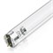 Лампа бактерицидная Ledvance TIBERA UVC  15W T8 G13 d26x438 UVC 253,7nm без озона 4058075499201 - фото 183318