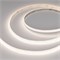 Лента герметичная RTW-SE-A280-8mm 24V Day4000 (10 W/m, IP65, 5m) (Arlight, 5 лет) 045559(1)
