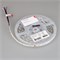 Лента RT-B60-10mm 24V RGBW-Day (14.4 W/m, IP20, 5m) (Arlight, Открытый) 018326(3)