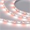Лента RT-B60-10mm 24V RGBW-Day (14.4 W/m, IP20, 5m) (Arlight, Открытый) 018326(3)