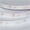 Лента герметичная DMX-PS-A96-14mm 24V Warm3000-PX12 (14 W/m, IP67, 5m) (Arlight, -) 058177