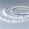 Лента DMX-A96-12mm 24V White6000-PX12 (14 W/m, IP20, 5m) (Arlight, -) 058171